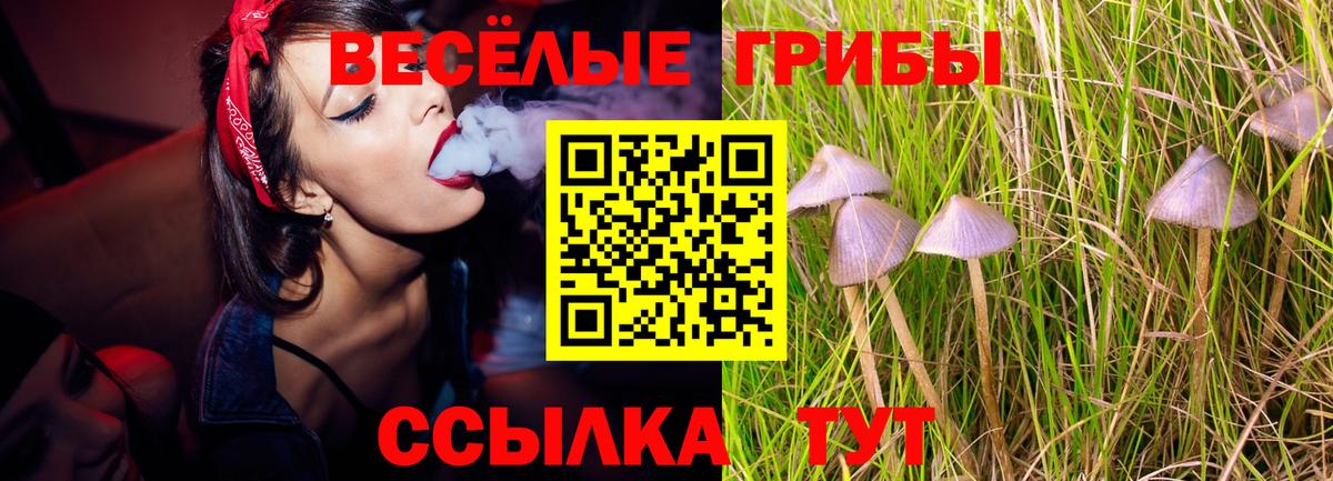 Псилоцибиновые грибы Magic Shrooms Лянтор
