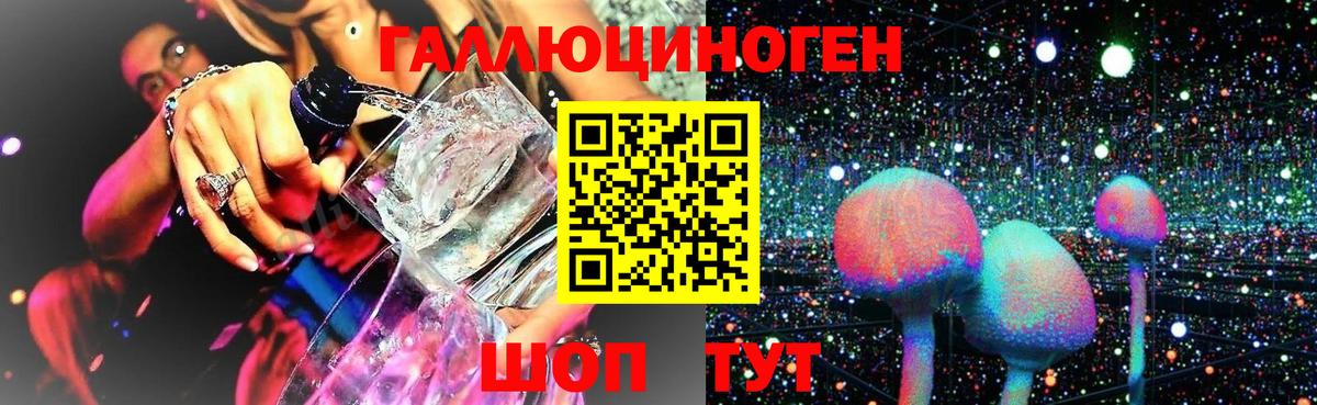 Галлюциногенные грибы Psilocybine cubensis  Вход с VPN  Лянтор 